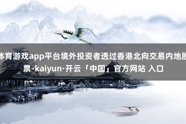 体育游戏app平台境外投资者透过香港北向交易内地股票-kaiyun·开云「中国」官方网站 入口