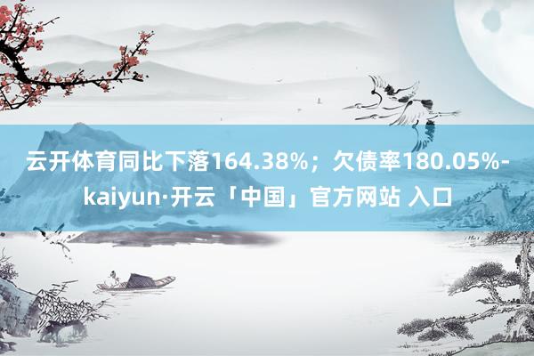 云开体育同比下落164.38%；欠债率180.05%-kaiyun·开云「中国」官方网站 入口